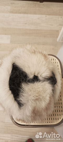 Шапка женская песец