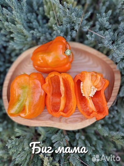 Семена коллекционных перцев