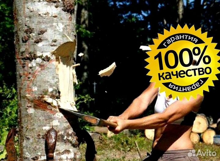 Дрова сухие