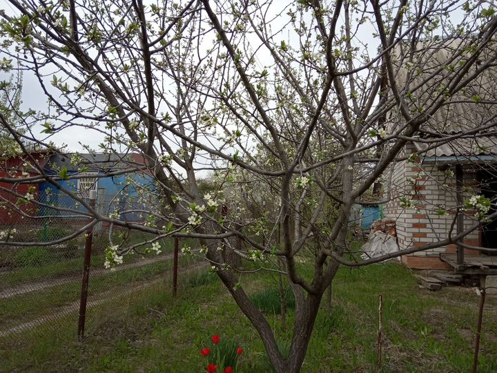 Дача 32 м² на участке 6 сот.