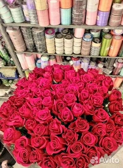 Розы гиганты 140 150 160 170 180 200