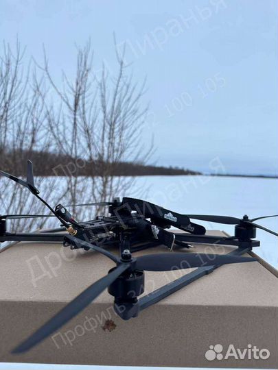 Бecпилoтник FPV Пиpaнья 10 дюйм