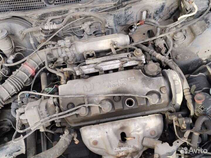 Honda Domani в полный разбор