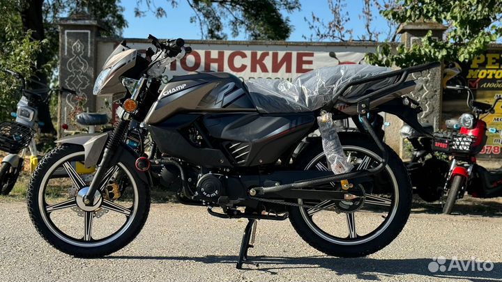 Alpha RS12 Champ Новый 2024