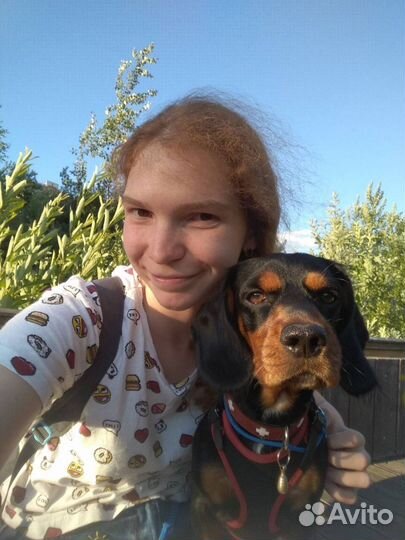 Дрессировка собак, услуги кинолога