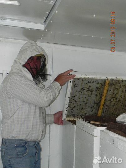 Мед горный из Казахстана, разнотравье