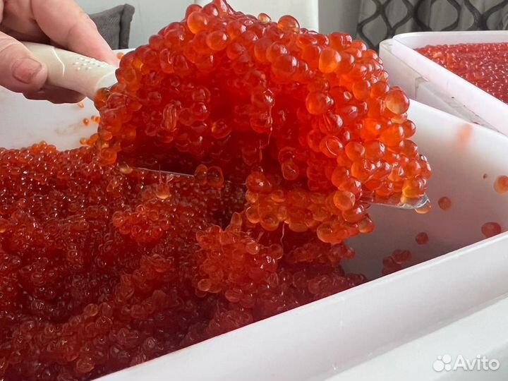 Икра красная