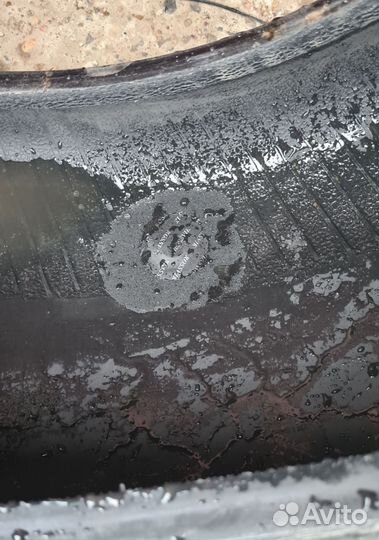 Nexen N'Fera SU1 215/55 R17 99W