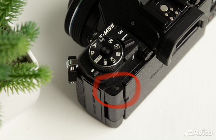 Olympus OM-D E-M5 Mark II Kit