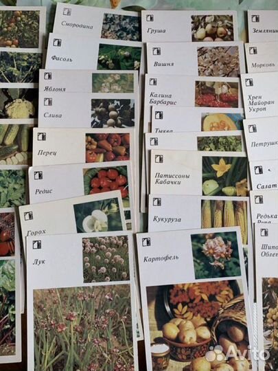 Набор открыток для садовода 1980-х годов - 30 штук