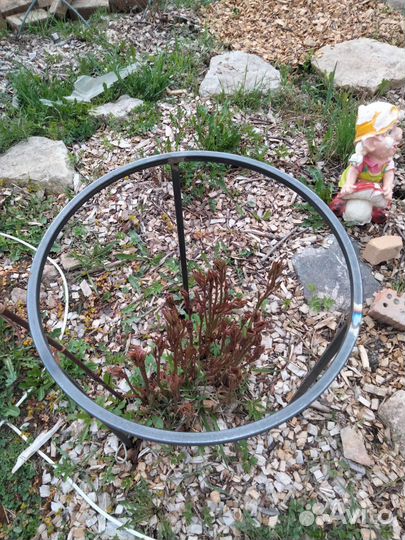 Подставка под пионы и цветы