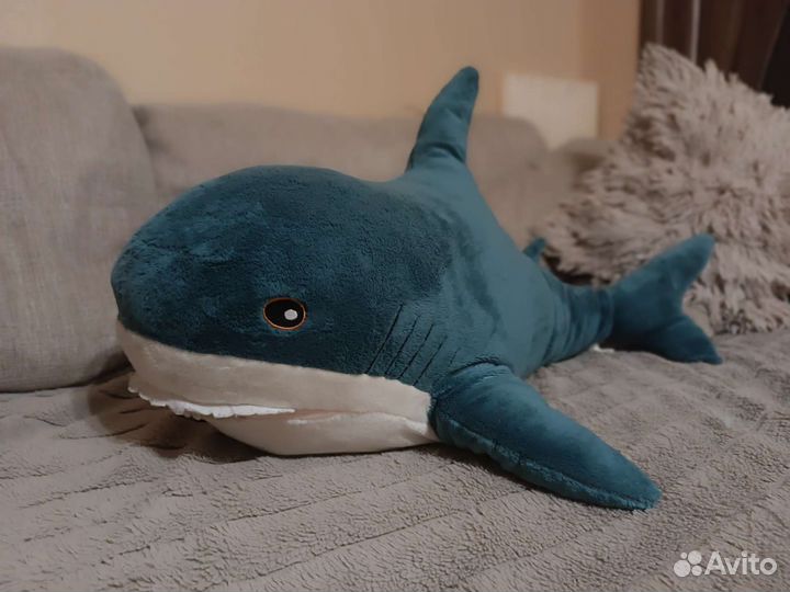 Продам акулу