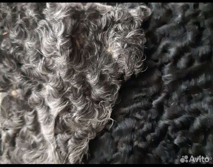 Мех каракуль натуральный