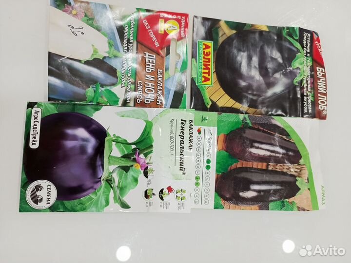 Рассада помидор, перцы и балажаны