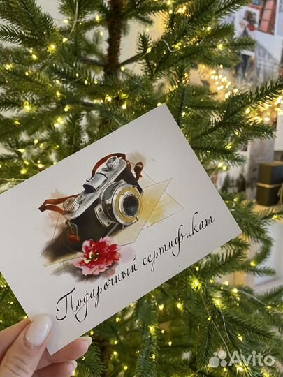 Сертификат на Новогоднюю фотосессию