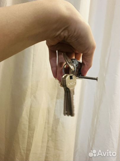 Личинка дверного замка