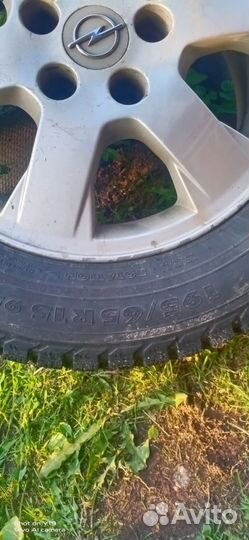 Nordman 5 195/65 R15