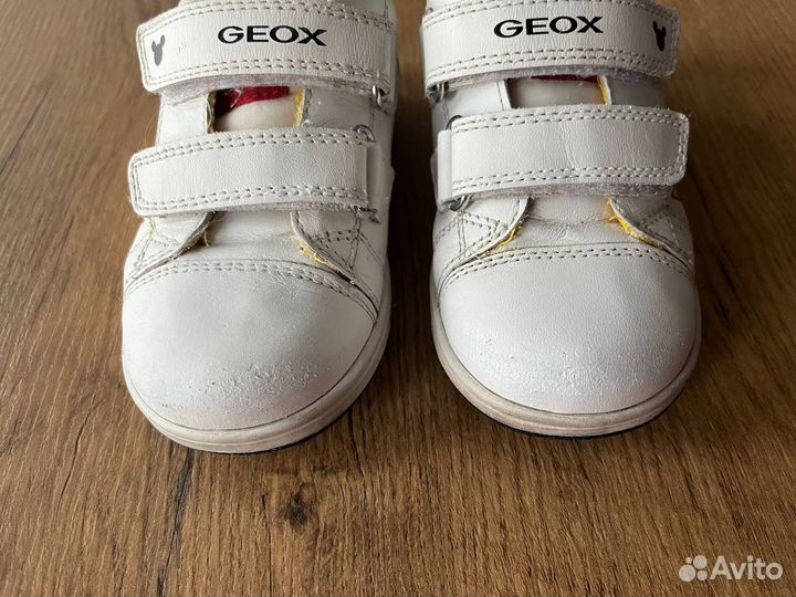 Кеды Geox 24