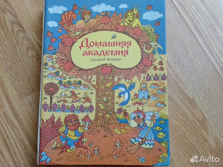 Книга домашняя академия