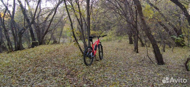 Gt avalanche comp 2020