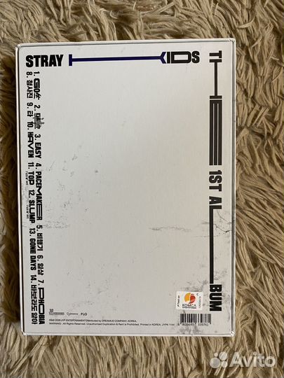Stray kids альбом GO
