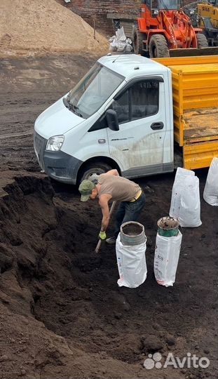 Рязань Чернозем чистый урожайный Луговой