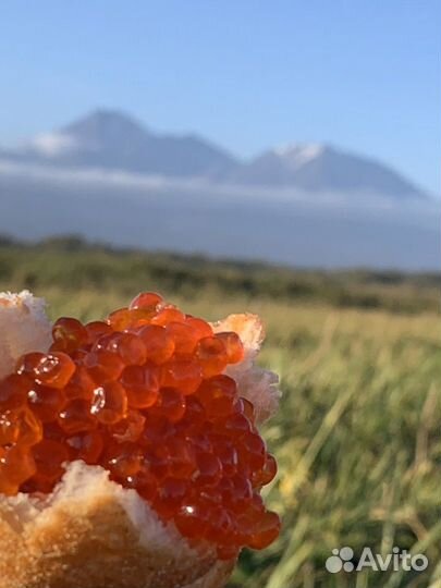 Икра красная (Горбуша)