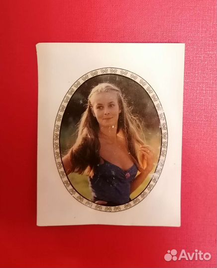 Переводная ксртинка