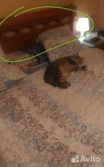 Кровать с ортопедическим основанием