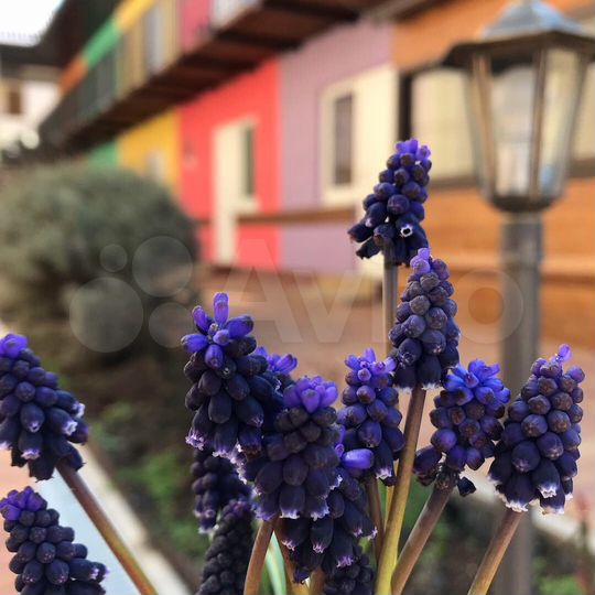 Комната 20 м², 1/2 эт.