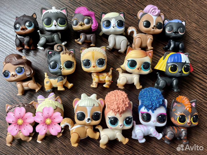 Питомцы лол (pets LOL)