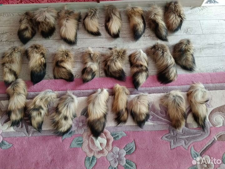 Хвост енота