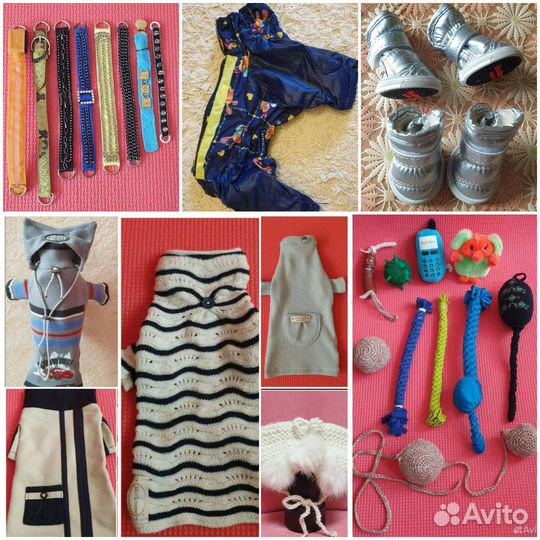 Одежда/Ботинки/Ошейники/Игрушки