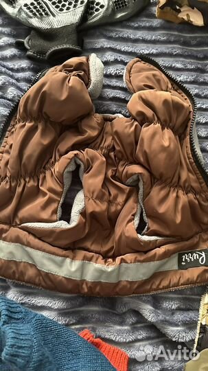 Одежда и принадлежности для щенка