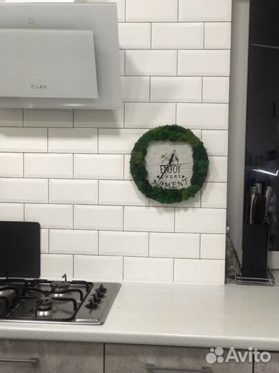 Часы с стабилизированным мхом