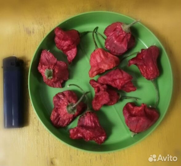 Семена коробочка Перчик фонаррик