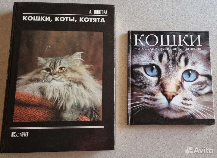 Книги про кошек