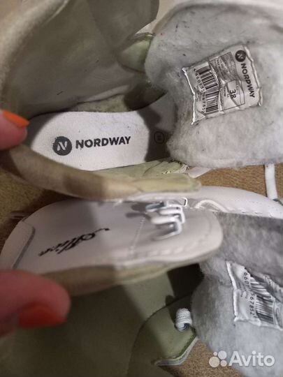 Коньки фигурные ледовые, Nordway Alise,38