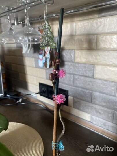 Орхидея фаленопсис