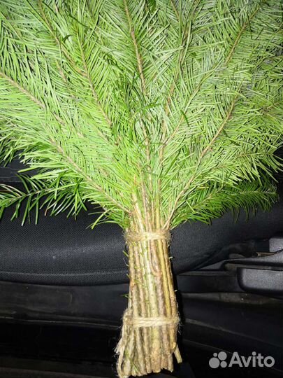 Коробка веников (пихта)