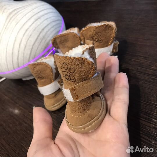 Ботинки для маленьких собак