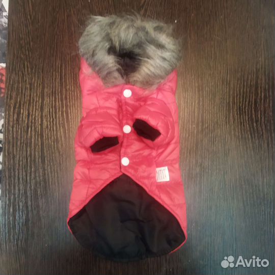 Одежда для маленьких собак