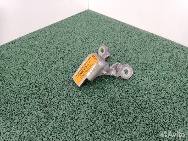 Петля задней правой двери Renault Fluence