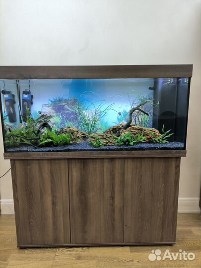 Аквариум 280 литров для вашего офиса или дома