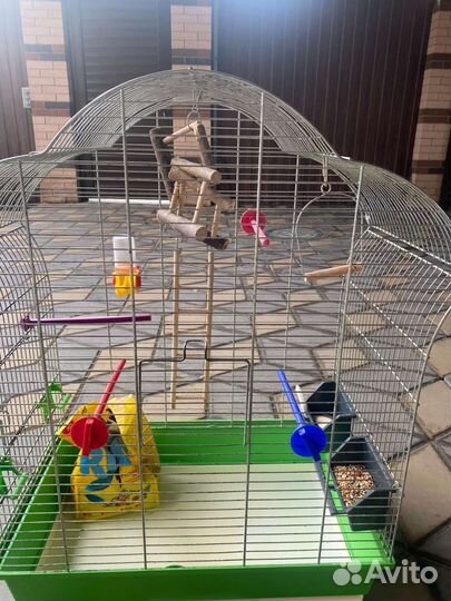 Клетка для среднего попугая
