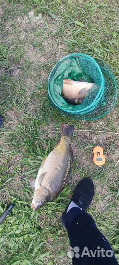 Рыбалка и отдых