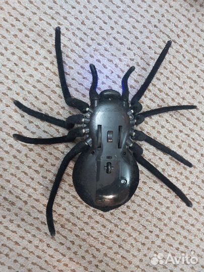 Паук на радиоуправлении