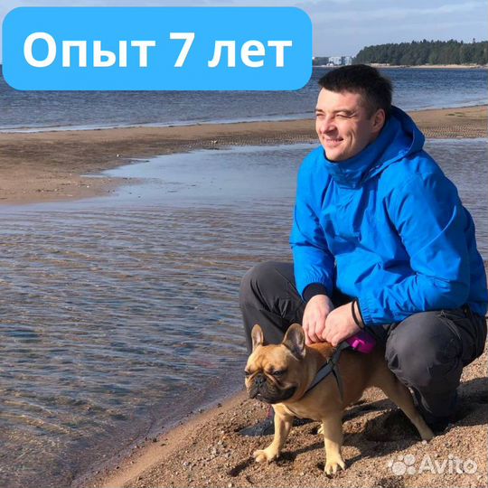 Контекстная реклама Яндекс Директ. Опыт 7 лет