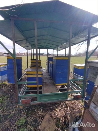 Пчелоприцеп легковой