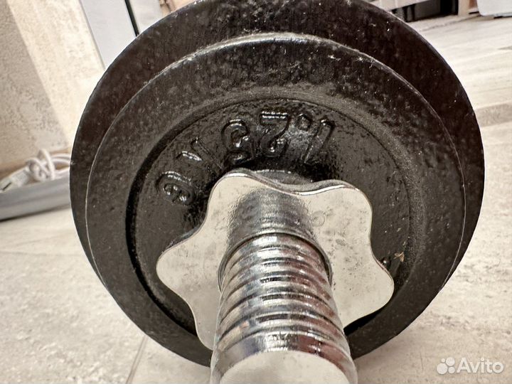 Гантели разборные torneo10 кг